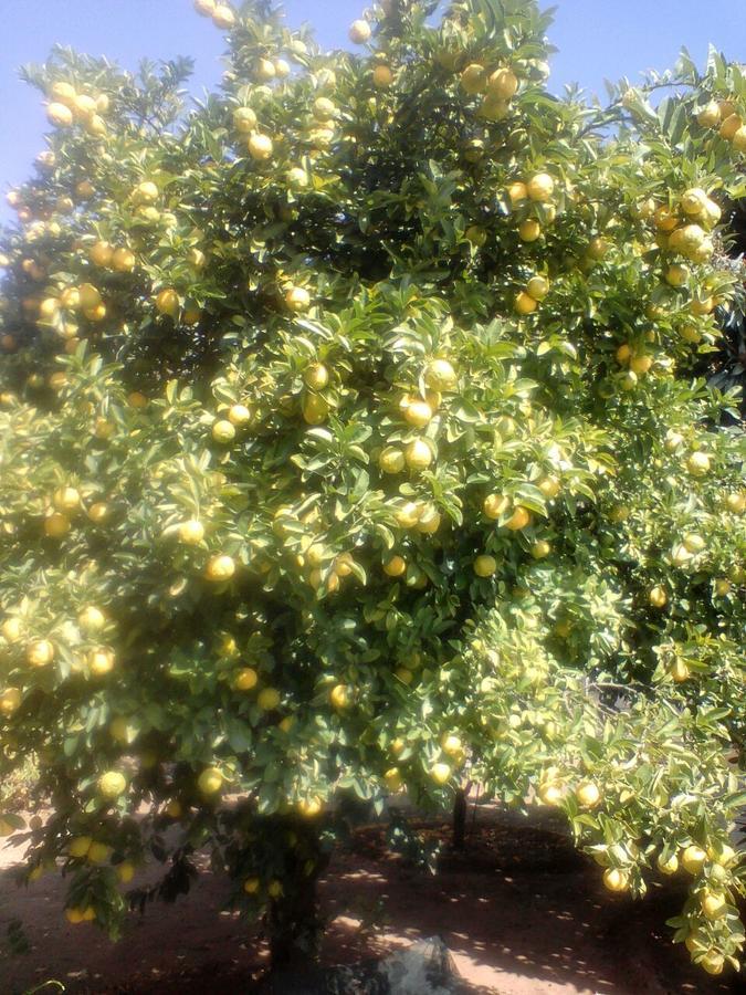בלומפונטייין Heila'S In House Family Room-Homestay! מראה חיצוני תמונה